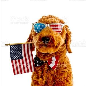 GOD BLESS AMERICA ..SHOP TILL YOU DROP